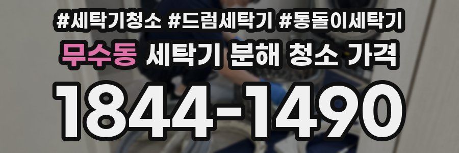 무수동 세탁기 분해 청소 가격