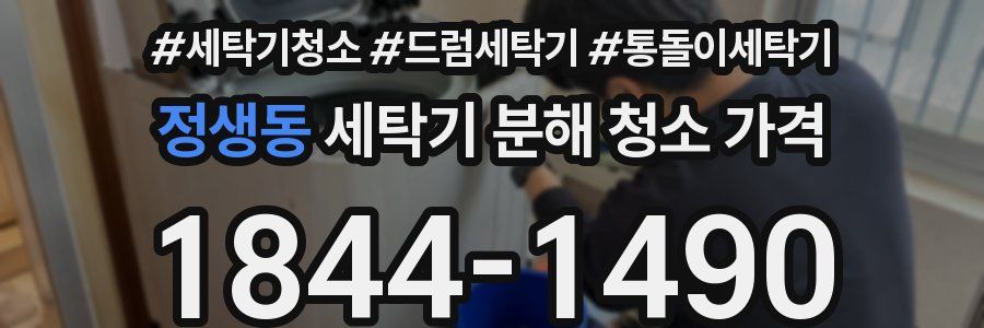 정생동 세탁기 분해 청소 가격