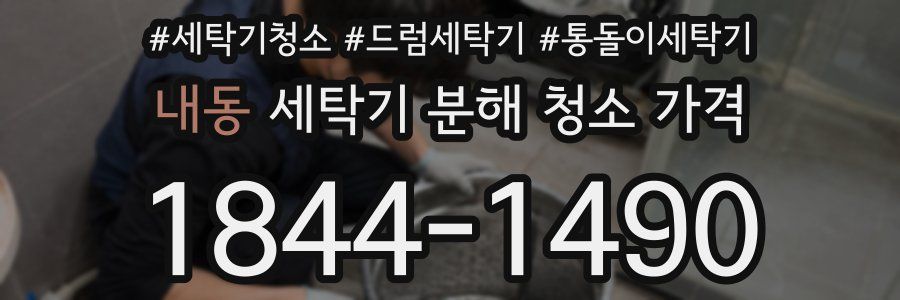 내동 세탁기 분해 청소 가격
