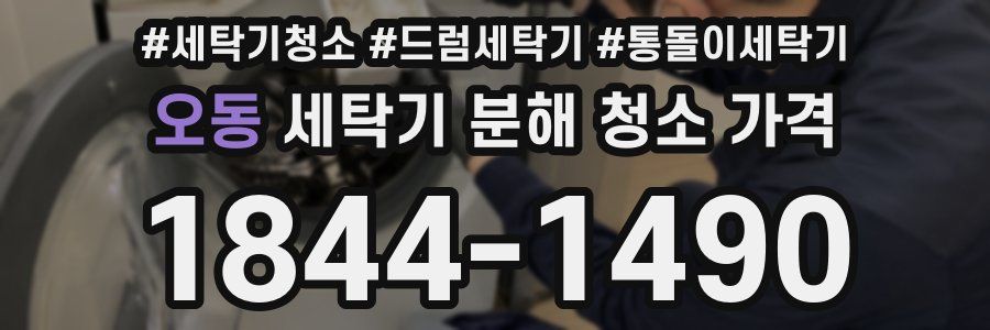 오동 세탁기 분해 청소 가격