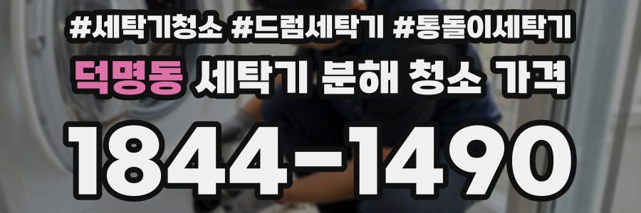 덕명동 세탁기 분해 청소 가격