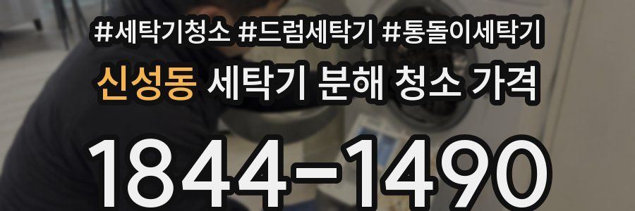 신성동 세탁기 분해 청소 가격