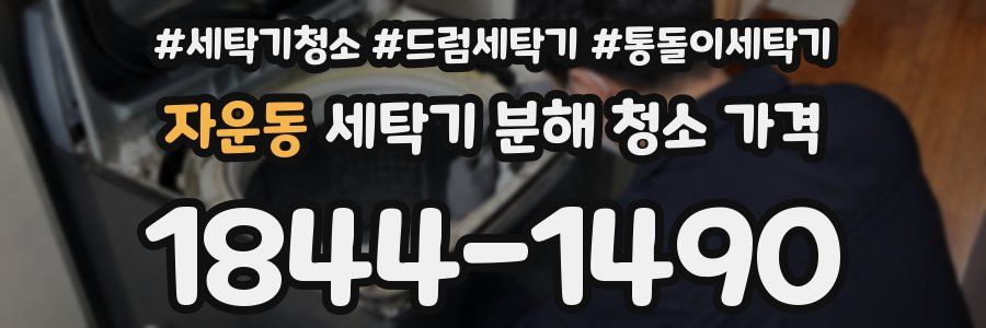 자운동 세탁기 분해 청소 가격