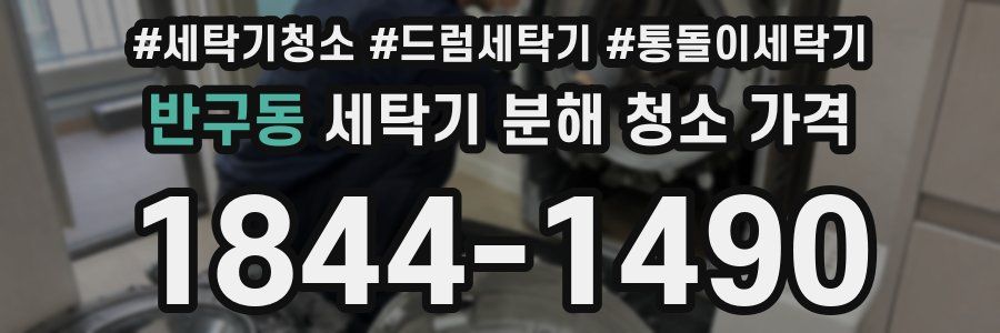 반구동 세탁기 분해 청소 가격