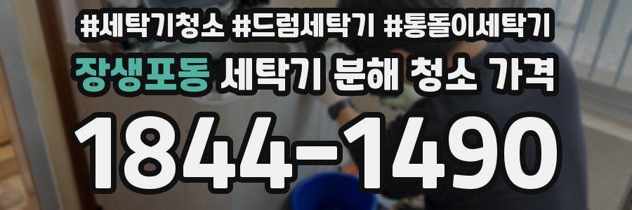 장생포동 세탁기 분해 청소 가격