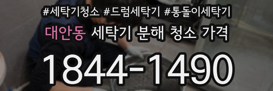대안동 세탁기 분해 청소 가격