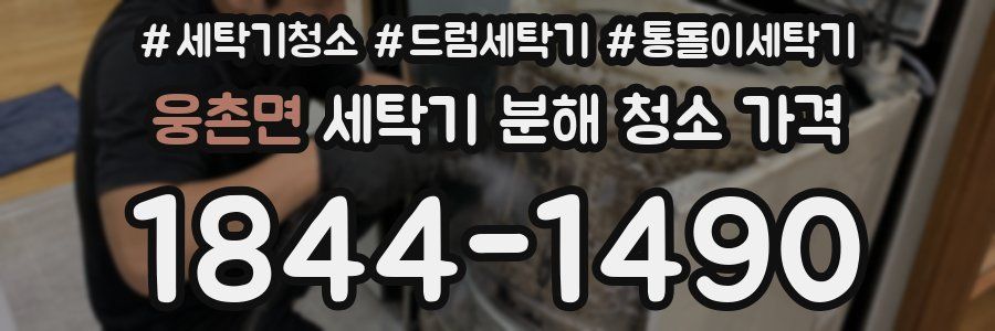 웅촌면 세탁기 분해 청소 가격