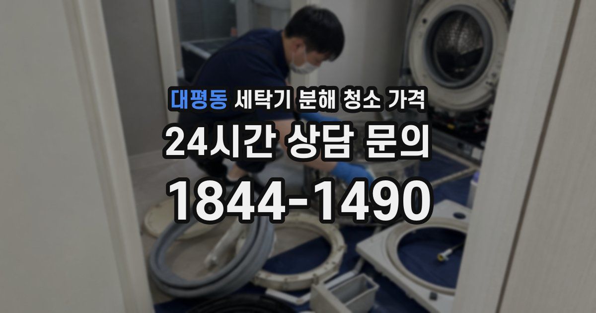 대평동 세탁기 분해 청소 가격
