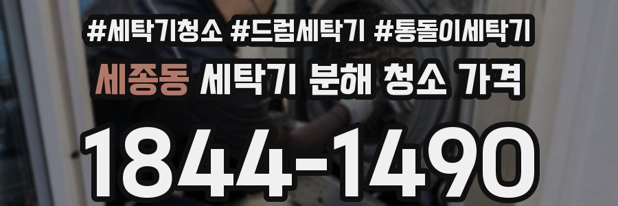 세종동 세탁기 분해 청소 가격