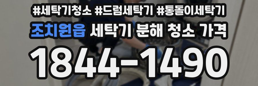 조치원읍 세탁기 분해 청소 가격