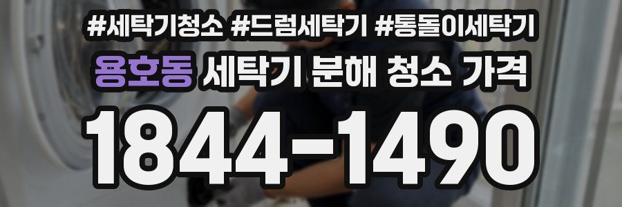 용호동 세탁기 분해 청소 가격