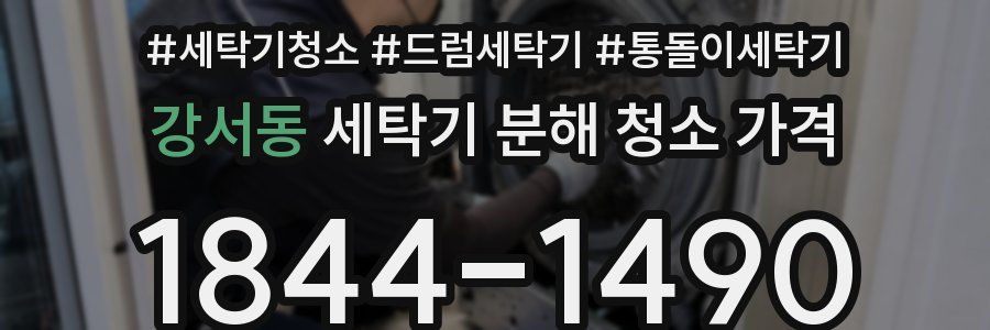강서동 세탁기 분해 청소 가격