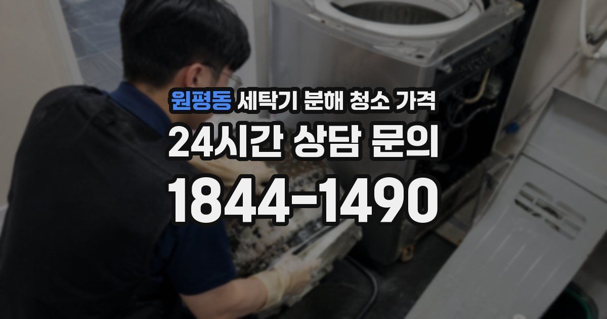 원평동 세탁기 분해 청소 가격