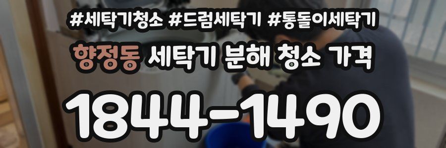 향정동 세탁기 분해 청소 가격