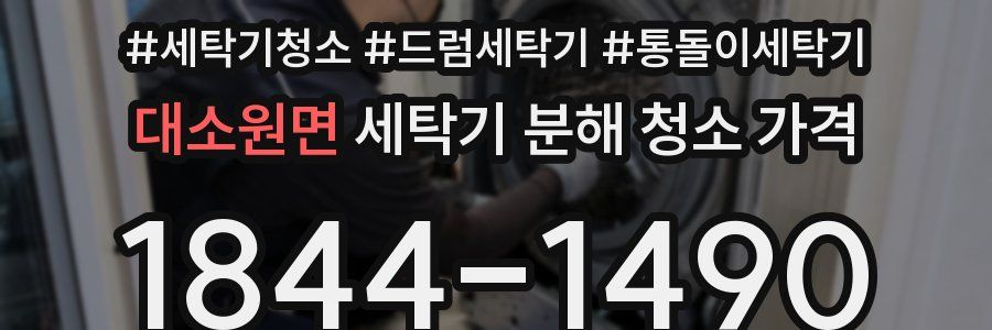 대소원면 세탁기 분해 청소 가격