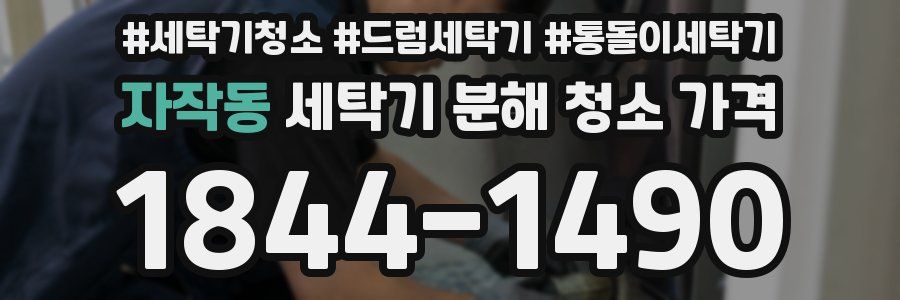 자작동 세탁기 분해 청소 가격
