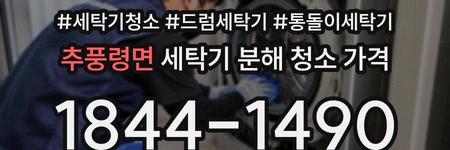 추풍령면 세탁기 분해 청소 가격