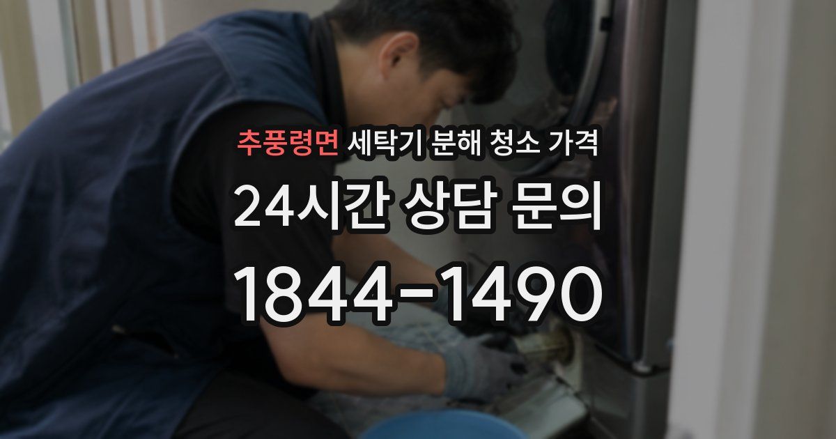 추풍령면 세탁기 분해 청소 가격