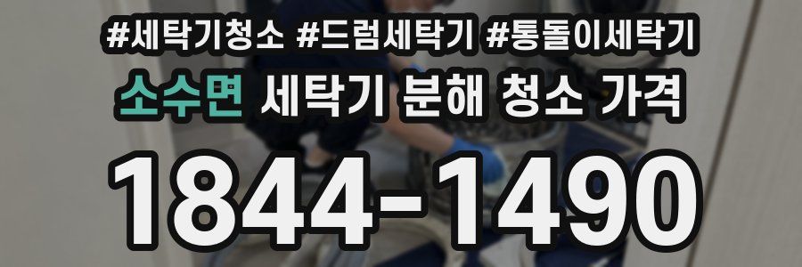 소수면 세탁기 분해 청소 가격