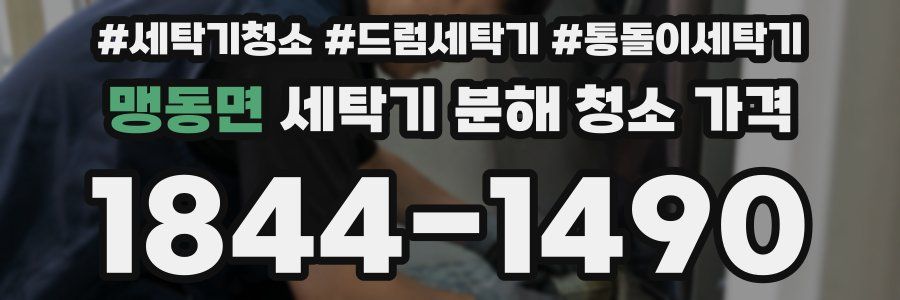 맹동면 세탁기 분해 청소 가격