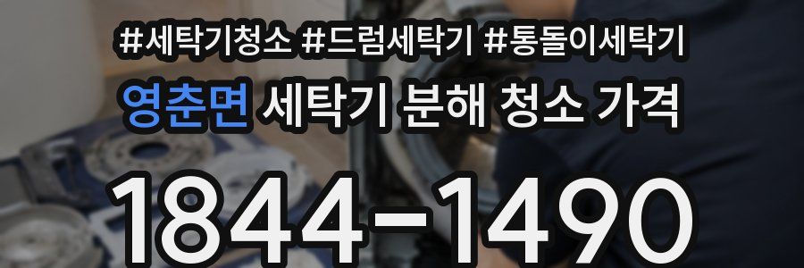 영춘면 세탁기 분해 청소 가격