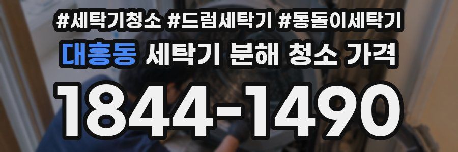 대흥동 세탁기 분해 청소 가격