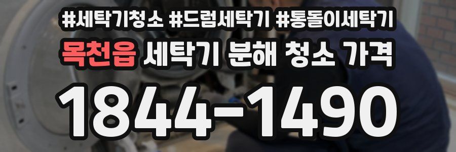 목천읍 세탁기 분해 청소 가격