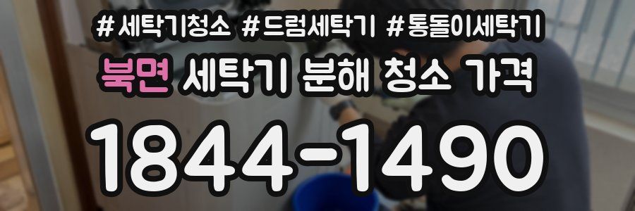 북면 세탁기 분해 청소 가격