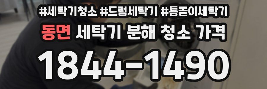 동면 세탁기 분해 청소 가격