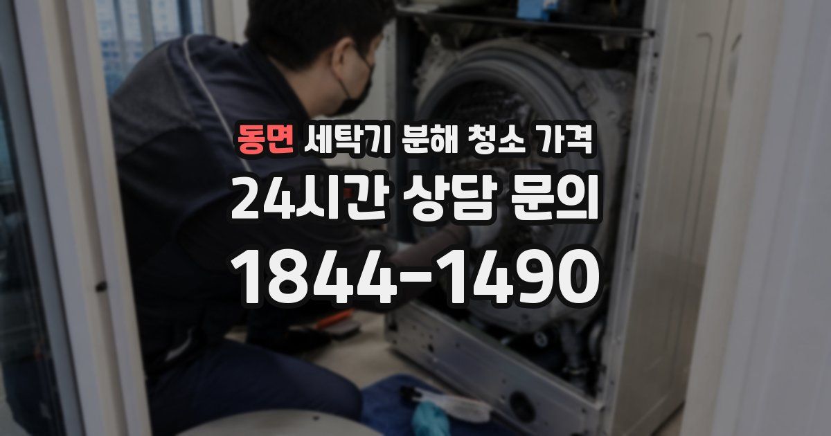 동면 세탁기 분해 청소 가격