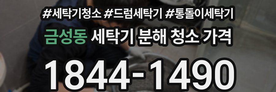 금성동 세탁기 분해 청소 가격