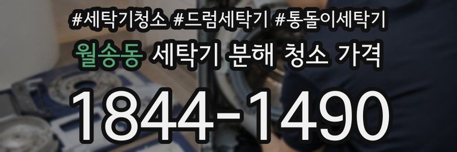 월송동 세탁기 분해 청소 가격