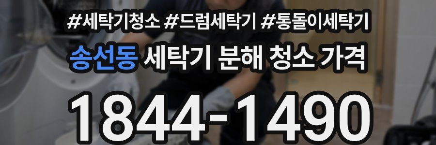 송선동 세탁기 분해 청소 가격