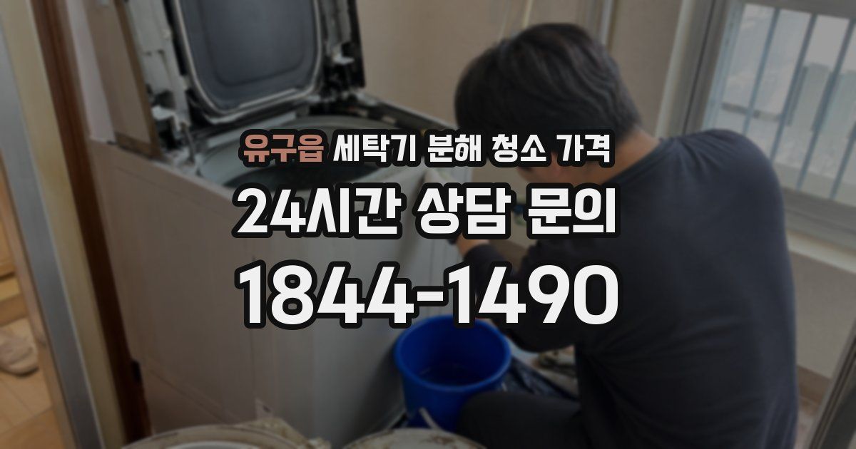 유구읍 세탁기 분해 청소 가격