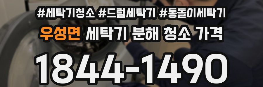 우성면 세탁기 분해 청소 가격