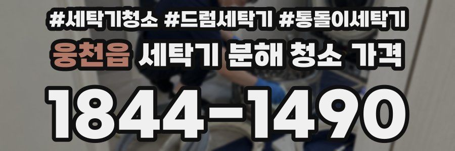웅천읍 세탁기 분해 청소 가격