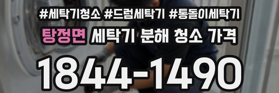 탕정면 세탁기 분해 청소 가격