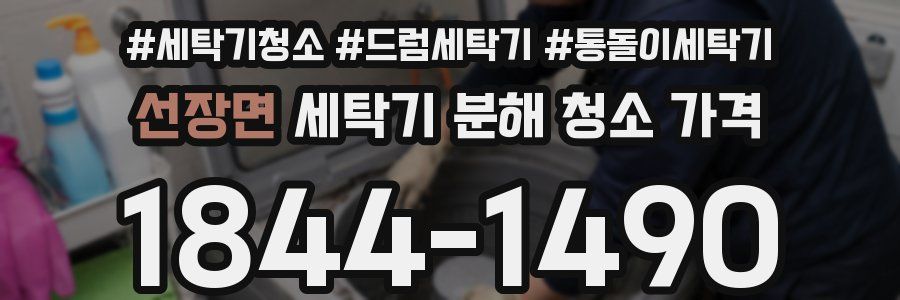 선장면 세탁기 분해 청소 가격