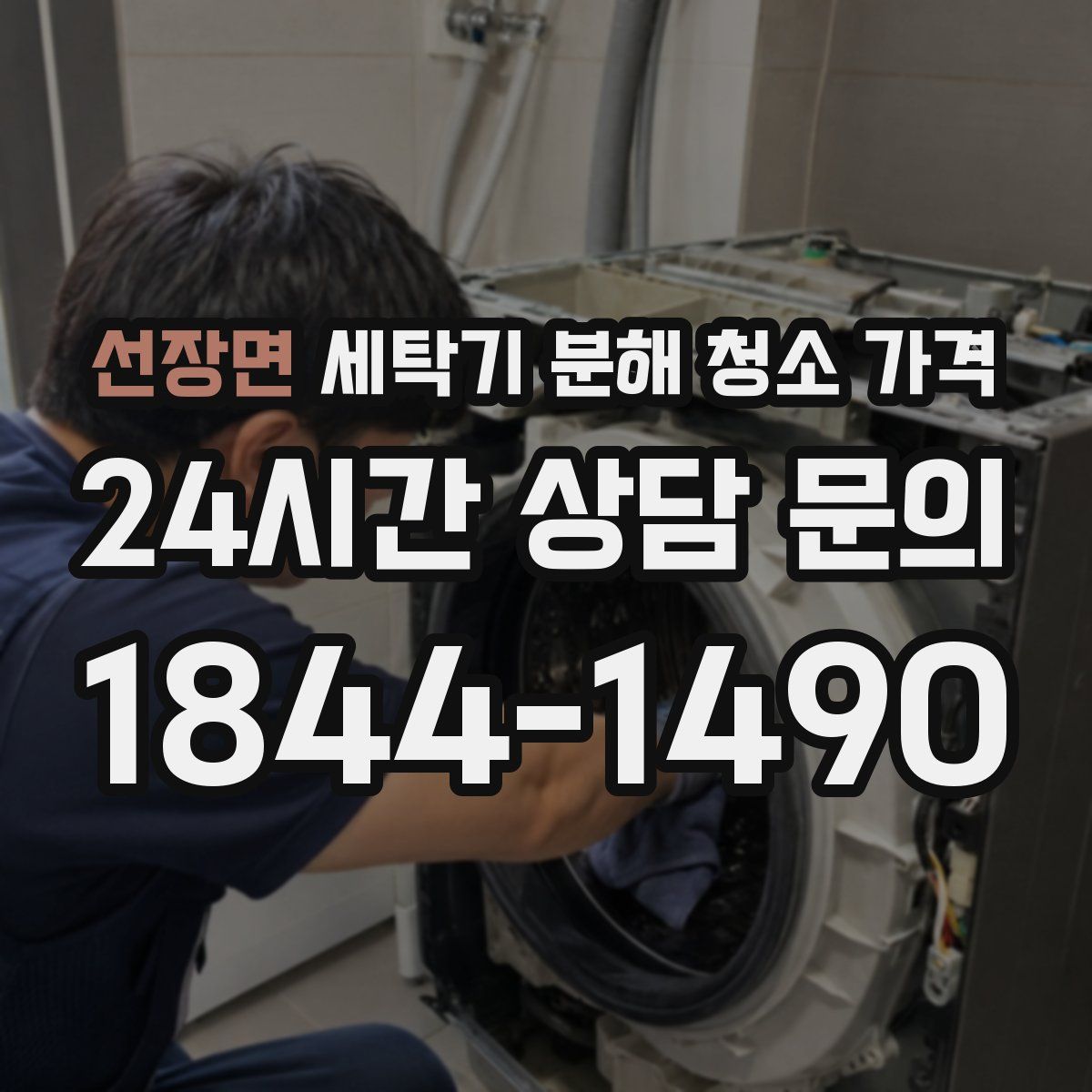 선장면 세탁기 분해 청소 가격