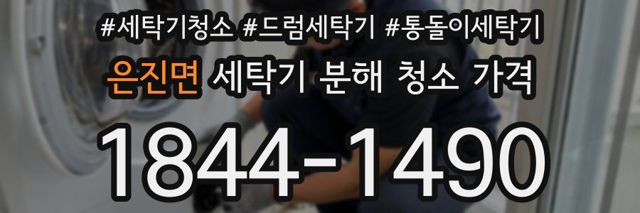 은진면 세탁기 분해 청소 가격