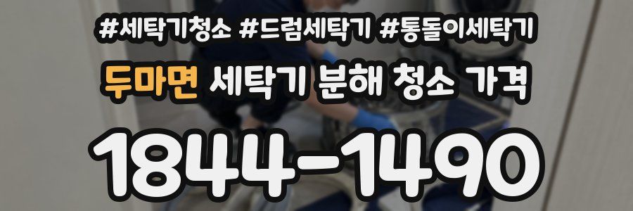 두마면 세탁기 분해 청소 가격