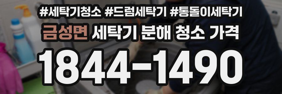 금성면 세탁기 분해 청소 가격