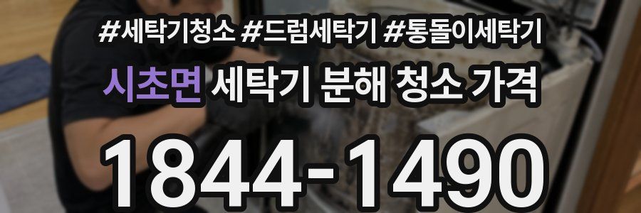 시초면 세탁기 분해 청소 가격