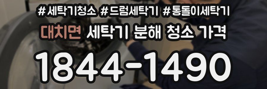대치면 세탁기 분해 청소 가격