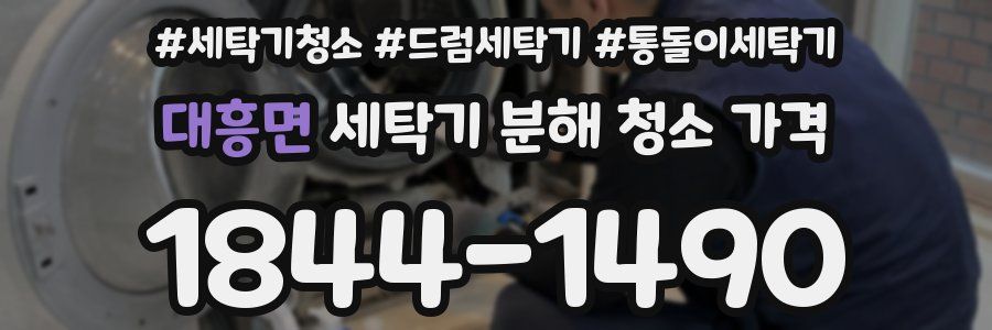 대흥면 세탁기 분해 청소 가격