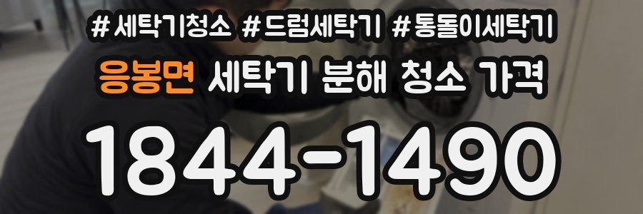 응봉면 세탁기 분해 청소 가격