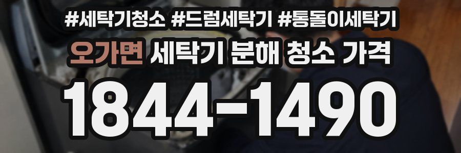 오가면 세탁기 분해 청소 가격
