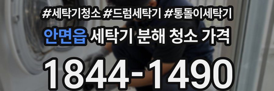 안면읍 세탁기 분해 청소 가격