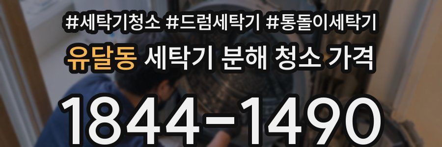 유달동 세탁기 분해 청소 가격