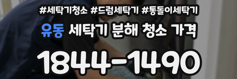 유동 세탁기 분해 청소 가격